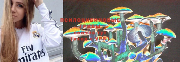 стаф Осинники