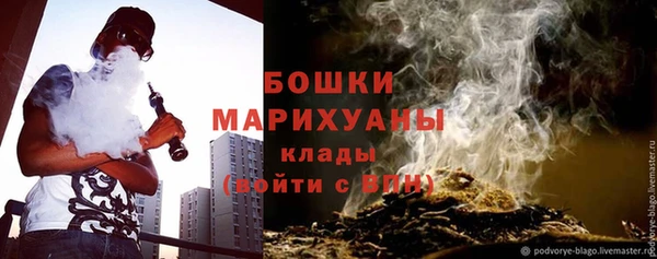 стаф Осинники