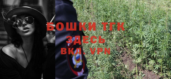 стаф Осинники