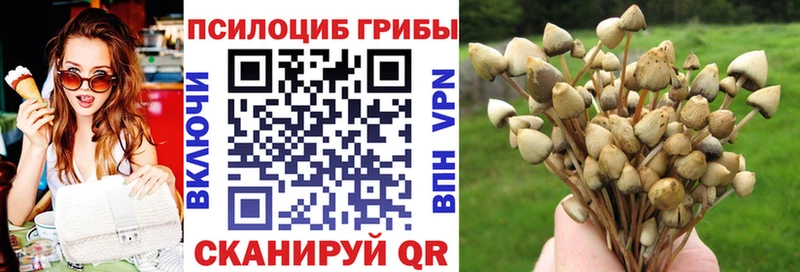 где купить наркоту  Баймак  Псилоцибиновые грибы Psilocybine cubensis 