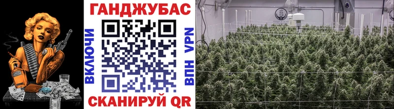 kraken онион  купить   Баймак  darknet формула  Конопля OG Kush 